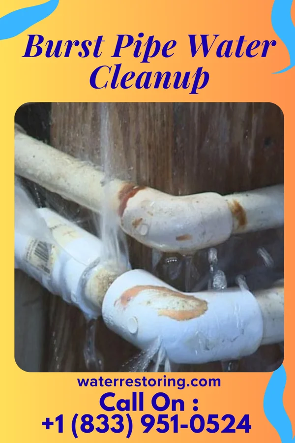 Burst Pipe Water Cleanup in North Manchester, IN