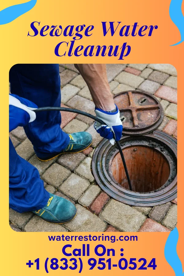 Sewage Water Cleanup in North Manchester, IN