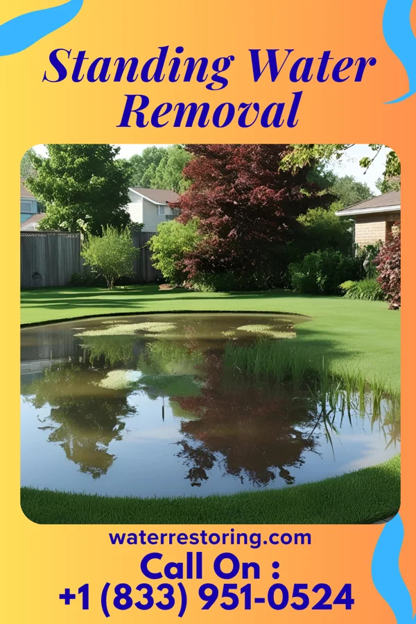 Standing Water Removal in North Manchester, IN